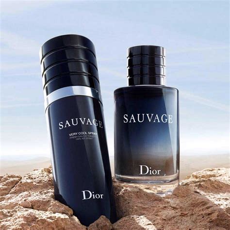 parfum sauvage dior harga|dior sauvage cool spray price.